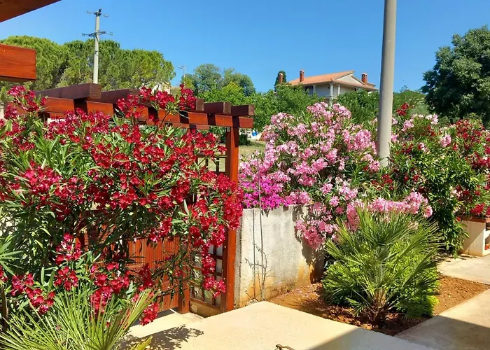 Antonio Solimar Apartments